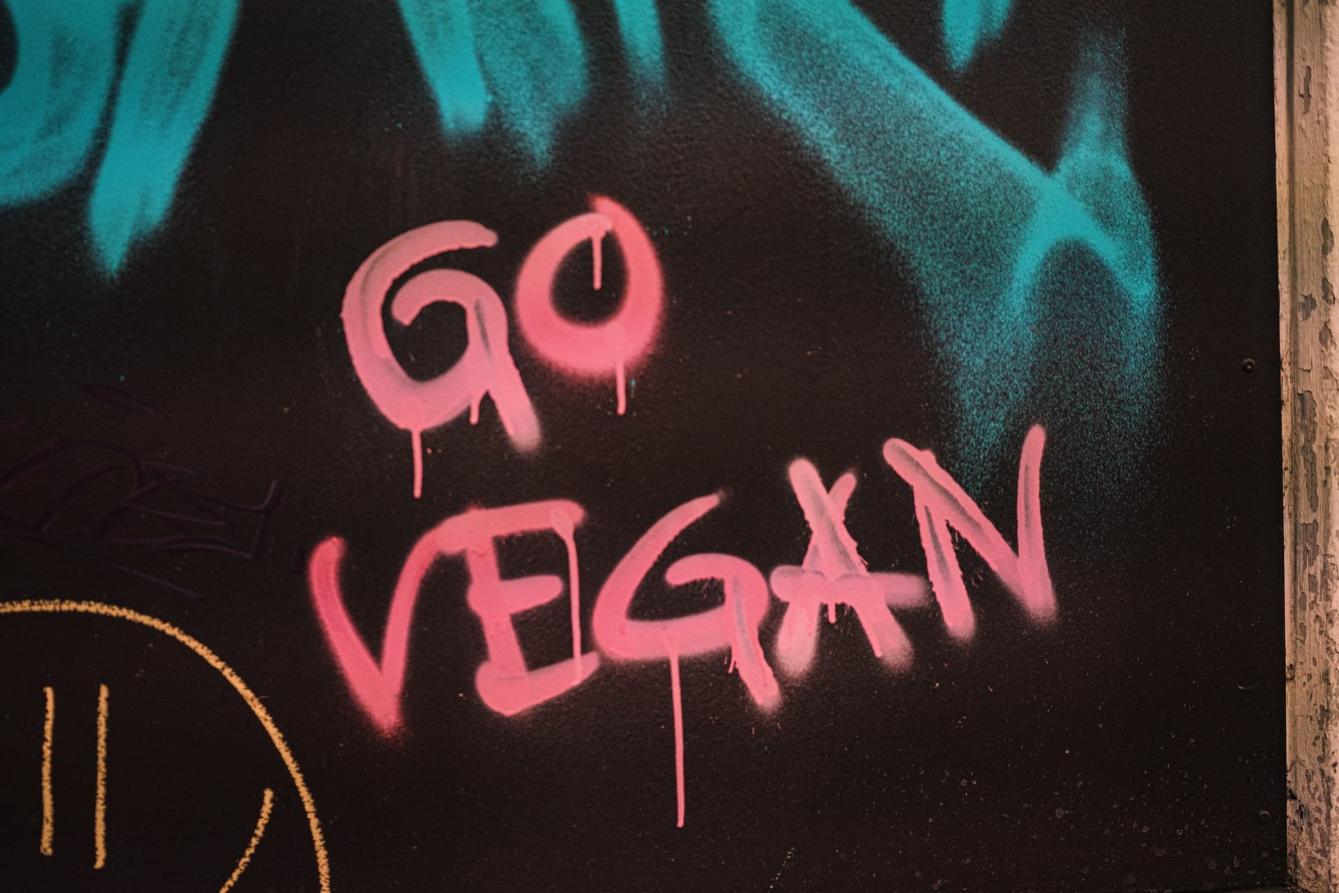 go vegan