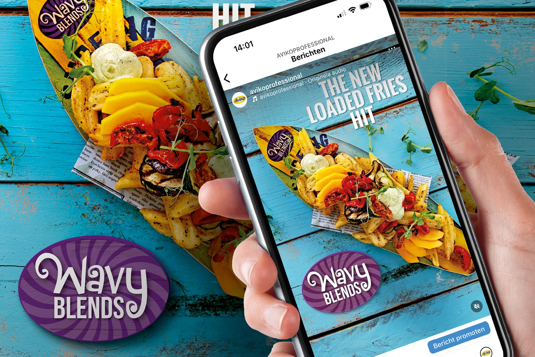 avfs-240194-01_house_of_fries_-_new_concept_-_image_text_block_-_900x600px2-cz